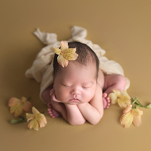 ポーズドの背景カラー