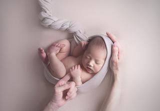 ポーズドプランミニの背景