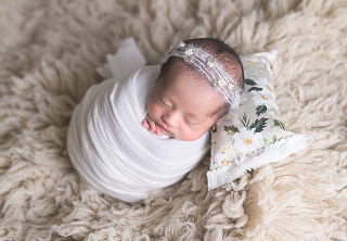 ポーズドプランミニ