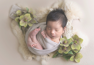 ポーズドプランプレミアムの背景カラー