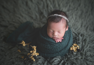 ポーズドプランプレミアムの背景カラー