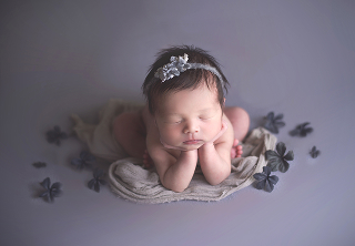 ポーズドプランプレミアム