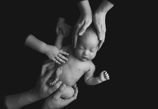 ポーズドプランプレミアム