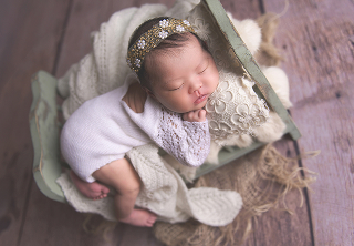 ポーズドプランスタンダード