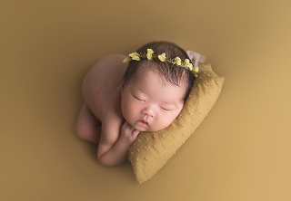 ポーズドプランスタンダード