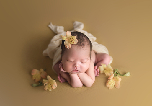 ポーズドプランスタンダード