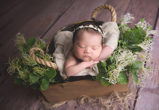 ポーズドプランスタンダード